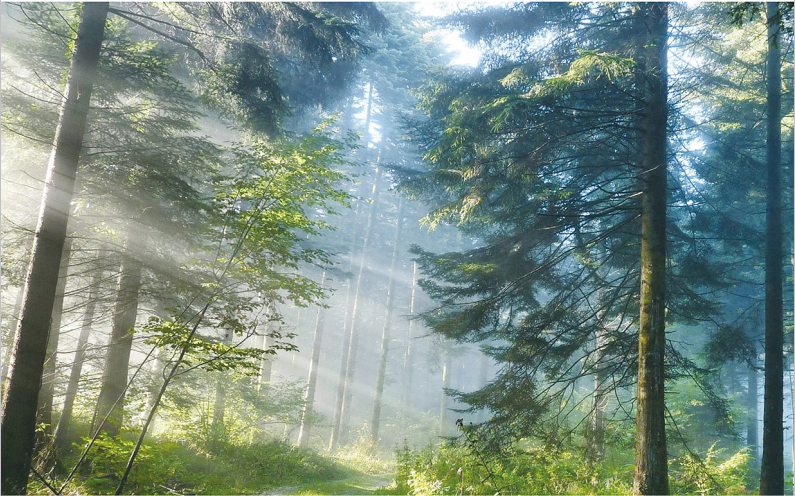 1682587597122083.png 微信圖片_20230427162749.png